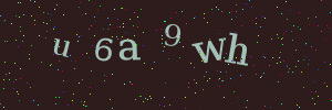 Validation image