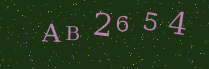 Validation image