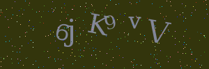 Validation image